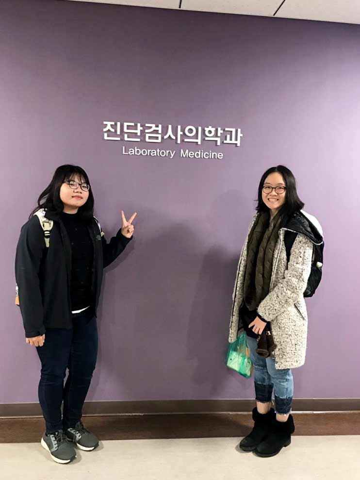 Busan 6