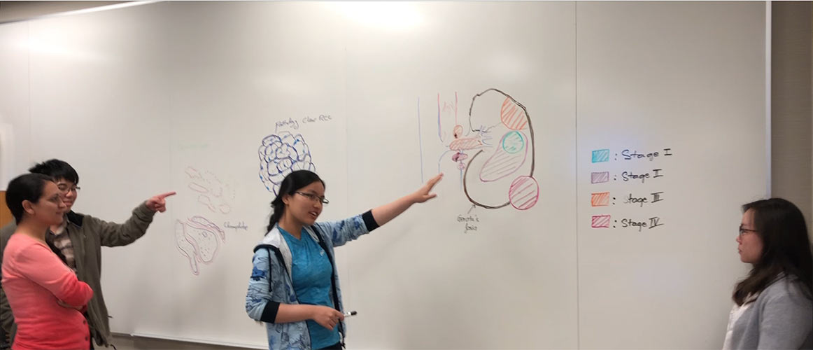Trải nghiệm về chương trình Problem-based learning 11 PBL10