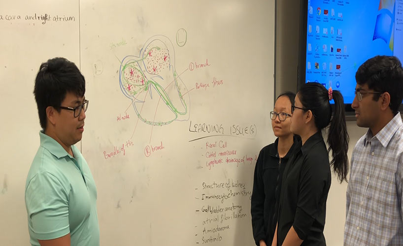 Trải nghiệm về chương trình Problem-based learning 12 PBL11