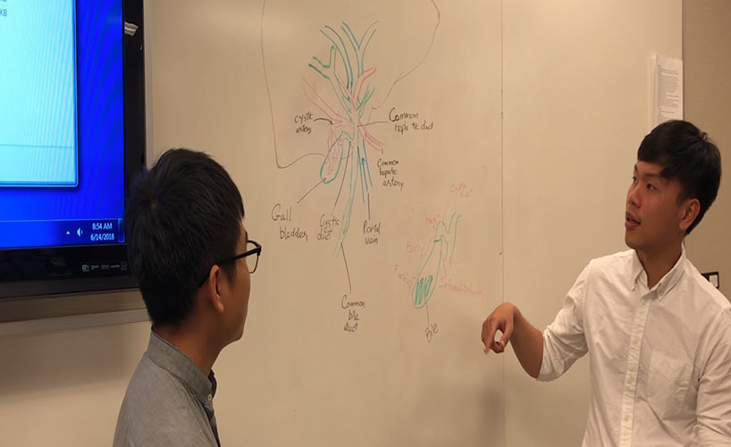 Trải nghiệm về chương trình Problem-based learning 10 PBL9