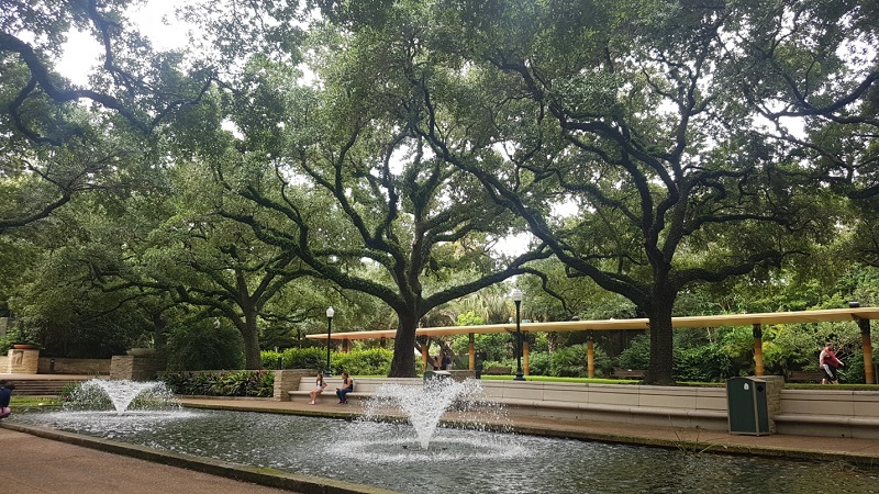 Memorial Hermann Hematopathology rotation 2018: A Look Back 20 Hematopathology SV19