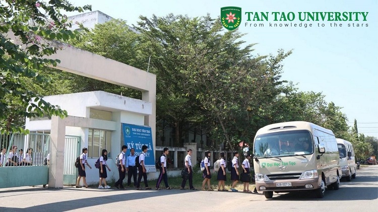 TTU co gi 24