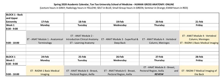Online Teaching At Hospital – A Major Breakthrough Of TTU Som 2 hoc online1 1