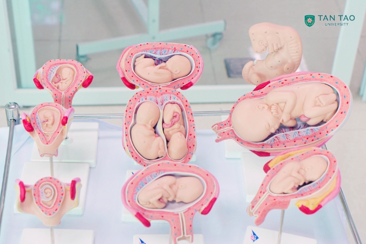 Investing in modern facilities for Medical training 10 Dai hoc Tan Tao y khoa