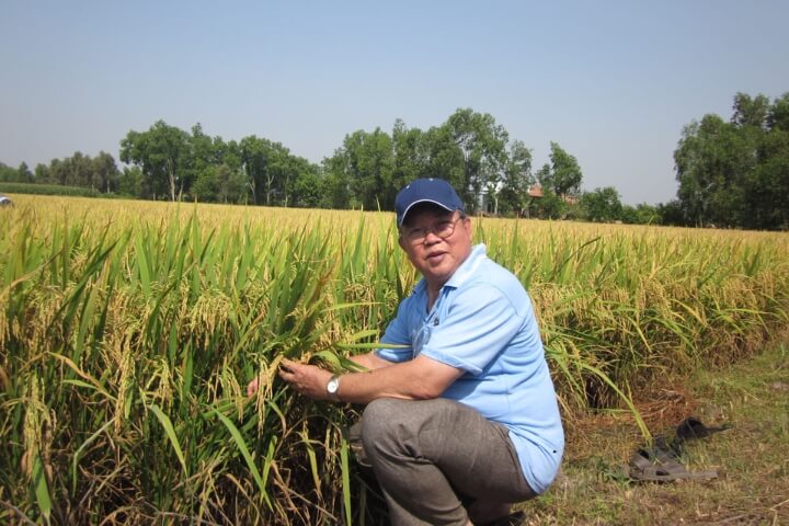 Kính tiễn Giáo sư Võ Tòng Xuân - Nguyên hiệu trưởng đầu tiên Trường Đại học Tân Tạo 2 GS Vo Tong Xuan gao ita rice