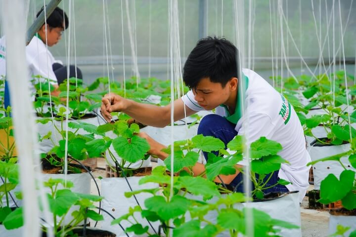 Cơ hội cho sinh viên trải nghiệm hoạt động lĩnh vực Nông nghiệp - Môi trường 2 Cong nghe sinh hoc Dai hoc Tan Tao tuyen sinh