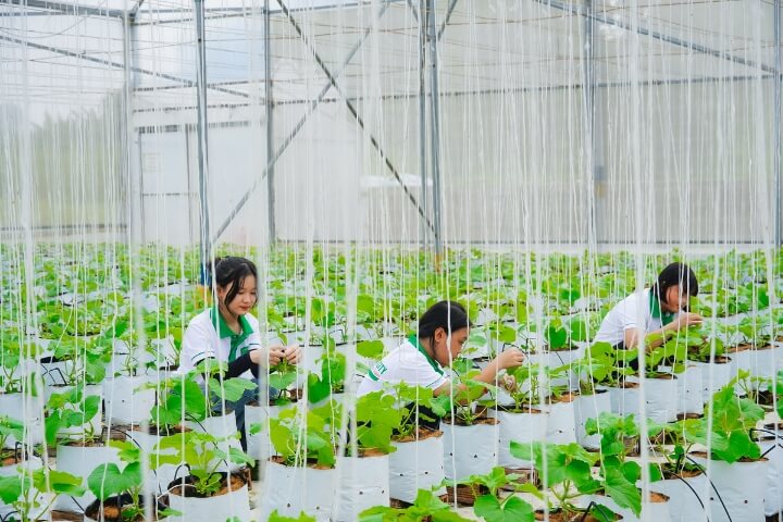 Cơ hội cho sinh viên trải nghiệm hoạt động lĩnh vực Nông nghiệp - Môi trường 5 Dai hoc Tan Tao Cong nghe sinh hoc