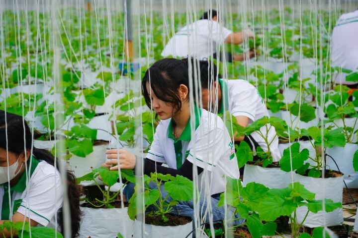 Cơ hội cho sinh viên trải nghiệm hoạt động lĩnh vực Nông nghiệp - Môi trường 4 Dai hoc Tan Tao sinh vien