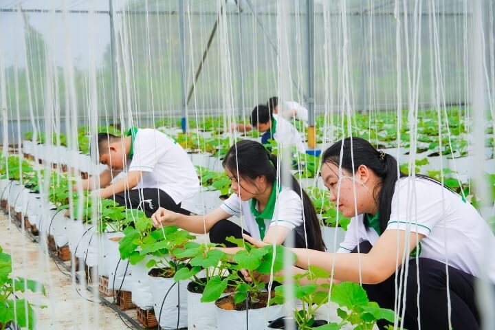 Cơ hội cho sinh viên trải nghiệm hoạt động lĩnh vực Nông nghiệp - Môi trường 1 Sinh vien Cong nghe sinh hoc