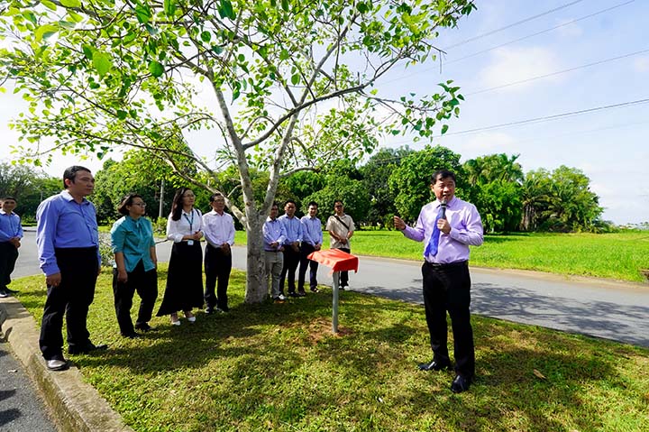 Commemorative plaque ceremony for the Bodhi tree at Tan Tao University – A symbol of wisdom and a sustainable future 1 le dat bang luu niem cay bo de dai hoc tan tao 2024