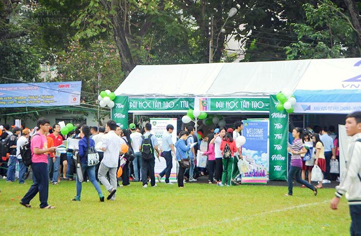 Undergraduate Programs