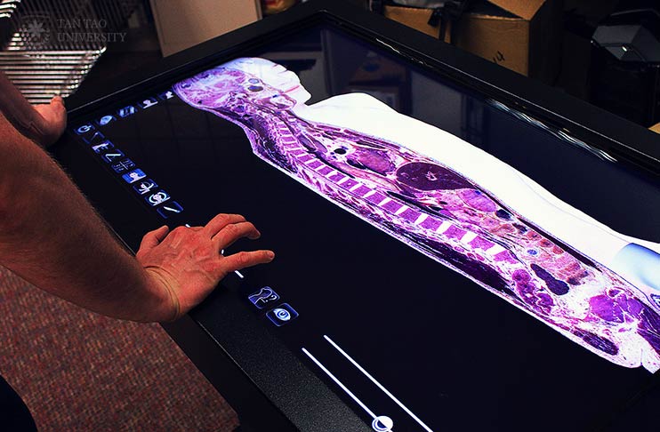 Ứng dụng công nghệ 3D vào giảng dạy ngành y