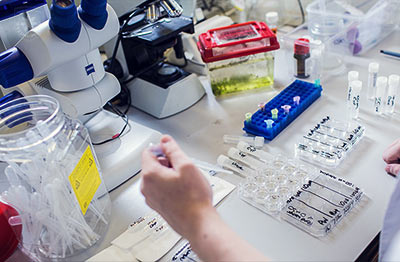 Applied Biology Major