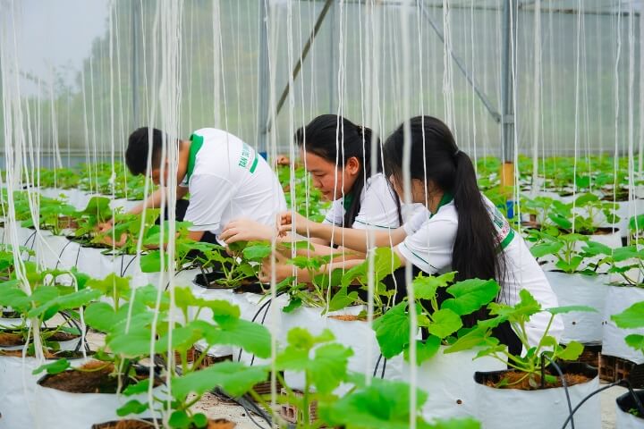 Cơ hội cho sinh viên trải nghiệm hoạt động lĩnh vực Nông nghiệp – Môi trường